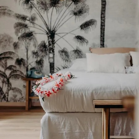 Palmito 호텔 비아히쯔