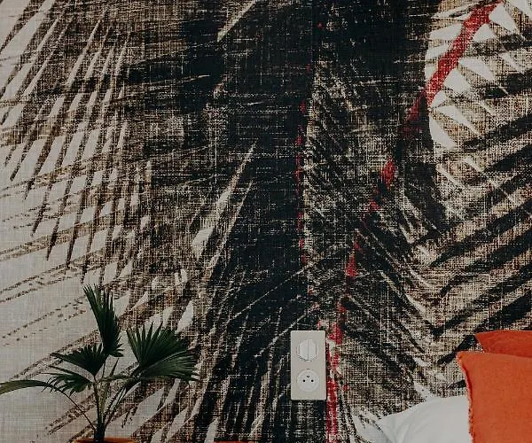 Palmito 비아히쯔