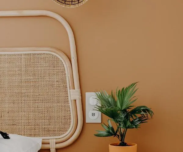 Szálloda Palmito 3*