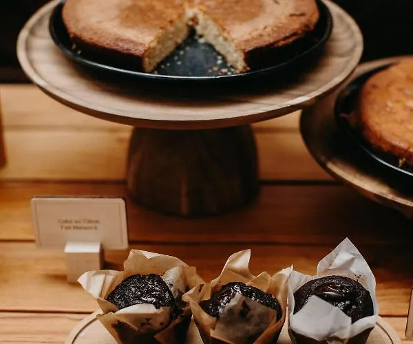 Palmito 비아히쯔