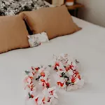 Hotel Hotel Palmito