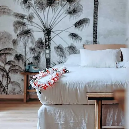 Palmito 3* Biarritz