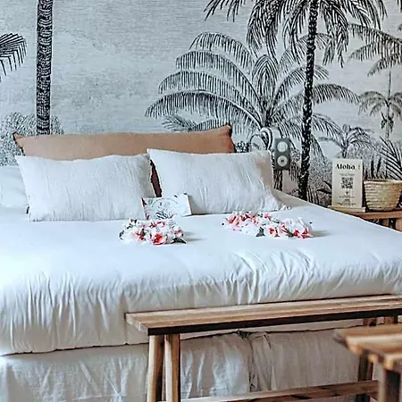 Hotel Palmito Biarritz