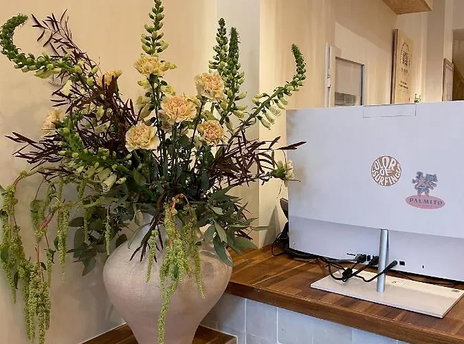 Hotel Palmito Biarritz